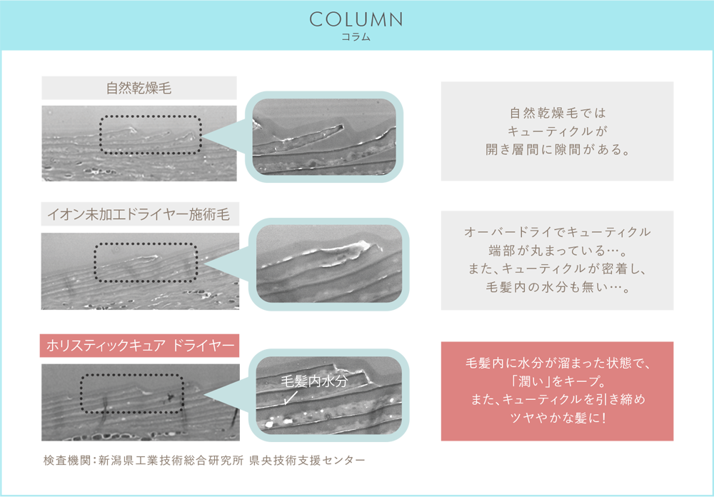 コラム