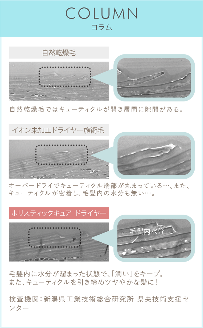 コラム