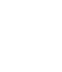 point06